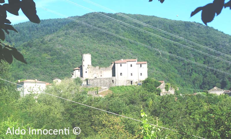 CASTELLO DI CASTEVOLI: CASTELLO 1' IMMAGINE